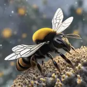 你觉得黑金蜜蜂是什么?