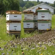 当蜜蜂误飞入蜂箱时它们会立即被其他蜜蜂攻击吗?