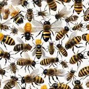 野生蜜蜂怎样从不同的花蜜中分辨出有益于其生长发育和繁殖的食物?
