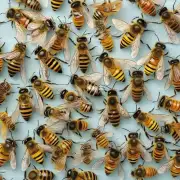 蜜源植物有哪些它们对蜜蜂有怎样的益处?