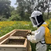 如何确保我家的孩子能够安全地使用蜜蜂作业系统呢?