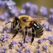 在没有特殊情况下你觉得应该做些什么以预防被蜜蜂蜇伤及其产生的肿大症状呢?