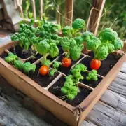 你知道一些可以在家中种植的食物吗?