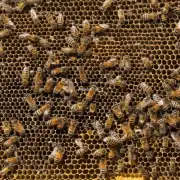 蜜蜂通过一系列措施来维持巢内的稳定环境首先母蜂会定期清除巢框和巢室内的废物尘埃和其他杂物其次工蜂在巢内外工作时会使用翅膀扇动以调节空气流动并保持适宜的温度水平最后蜂群中的工蜂还会通过寻找食物源来提供足够的能量支持产卵过程问蜜蜂为什么要选择在巢框一侧或边缘产卵?