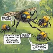 我觉得这个问题很有趣 你是要学习如何杀死蜜蜂吗?还是想了解怎样更好地保护它们呢?