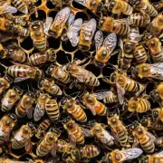 蜜蜂的花粉有助于植物的成长发育但与此同时这些植物可能也会对蜂群造成危害因此蜜蜂的后腿是否含有可以保护蜂群免受害虫侵扰的物质吗?
