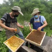 对于那些想要找到野生蜂蜜的旅游者来说他们在荆门市郊外寻找蜜蜂的最佳地点是哪里呢?