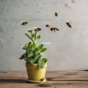 为什么家里如果没有种植过植物仍然会有蜜蜂出现?