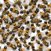 蜜蜂队伍中每个人都能够感知到整个团队的行动方向这使得我们可以进一步探讨蜜蜂队列如何进行集体决策的呢?