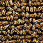 问题在新的蜂箱中蜜蜂是如何识别自己的位置和同伴的颜色差异的呢?