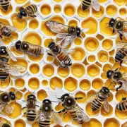 蜂蜜和蜂蜡可以作为美容产品中添加物使用吗?