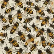 蜜蜂起双王的风险和注意事项是什么?