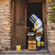 为什么门前有蜜蜂要用工具采集蜂蜜?