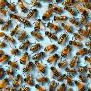 关于蜜蜂消毒最有效的药物有什么特点吗?