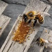 如果一个人直接用手去摸一个蜂巢并试图从蜂窝中取出蜜蜂那么这个人将遭遇到严重过敏反应的可能性很大吗?