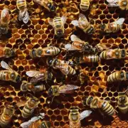 什么因素可能导致不咬人的蜜蜂出现咬人的现象?