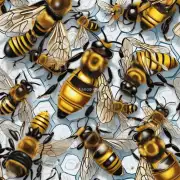 养蜜蜂如何预防疾病的发生?