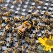 这种状况对蜜蜂有什么影响吗?
