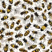 不同品种的蜜蜂对于饲料的需求有何差异?