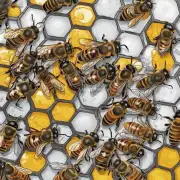 养蜂需要注意哪些方面的工作管理和维护工作?