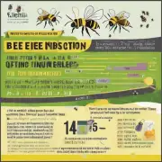 对于初学者而言如何确定需要给蜜蜂施肥的最佳次数以及具体时间表呢?