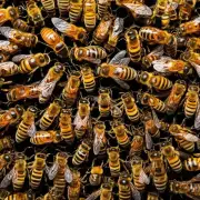 蜜蜂在采集花蜜时会将多少花粉带回蜂巢呢?