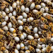 蜜蜂产卵时是否有特殊姿势或动作?