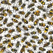 蜜蜂对人类健康有哪些影响?