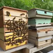 提出第二个问题在夏季蜜蜂如何知道何时放蜂箱?
