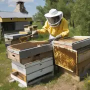 养蜂前需要注意哪些事项比如养蜂的地方环境和温度等?