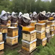麻麻们是想知道如何正确地采集和处理蜂巢中的蜜吗?