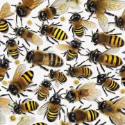 为什么有毒蜂在某些地区比在其他地区的多?