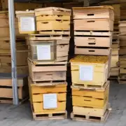 养蜂一年能卖多少蜂蜜?