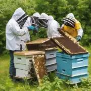 虎跃龙吟一下养蜂人在选配蜜蜂时需要注意哪些问题?