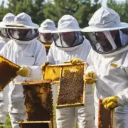是否有专门针对规模化养蜂的专业培训课程或教材可供参考?