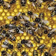 网上也有不少资料说蜜蜂在马来西亚有一个蜂王比赛是吗?