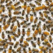 为什么在被蜜蜂蛰之后它们会选择不再留在你的皮肤上?
