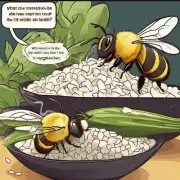 是我想知道蔬菜里蜜蜂怎么清洗干净一碗米饭里有一只蜜蜂它在米饭中蠕动着如果用手抓起来会不会伤到蜜蜂呢?如果有的话伤害它的可能性有多大呢?