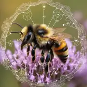 蜜蜂是如何确定自己所在的地理位置的吗?