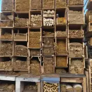 我最近看到一家店出售有机蜂窝你会考虑它作为蜜蜂养殖场所吗?