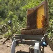 收集到的蜂蜜会用来什么地方呢?