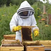 如果你有一个小农场并想在养蜂行业中获得更多的利润你认为你应该采取哪些行动以实现这一目标?