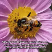 蜜蜂为何会将花粉从花朵中取出并将其储存到蜂巢中的蜡质层内?
