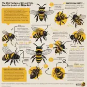 哪些因素会影响蜜蜂宠物的健康和生长?