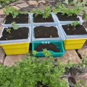 我如何使用蜜蜂方块来为我的花草施肥?