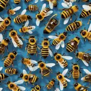 在哪里可以买到一些蜜蜂来饲养自己的?