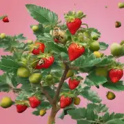 当我们发现一只蜜蜂正在采食一棵草莓树上的果实时我们是否可以确定它是否喜欢这种水果的味道?