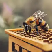 这个问题非常好首先为了让蜂箱更容易出蜂王花您需要选择一个合适的蜂群种类并且了解它们的特征如果您想让更多的蜜蜂出现蜂王花可以考虑在蜂箱内添加一些特殊的物质或者进行人工授粉等操作昌硕chāngshǔ那如何知道哪种蜂群更容易出蜂王花呢?