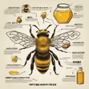 在蜂蜜中发现什么成分会导致蜜蜂死亡?