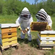 如何评估一个养蜂人的能力水平?
